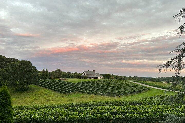 North Georgia Wine Country Private Tour ab Atlanta