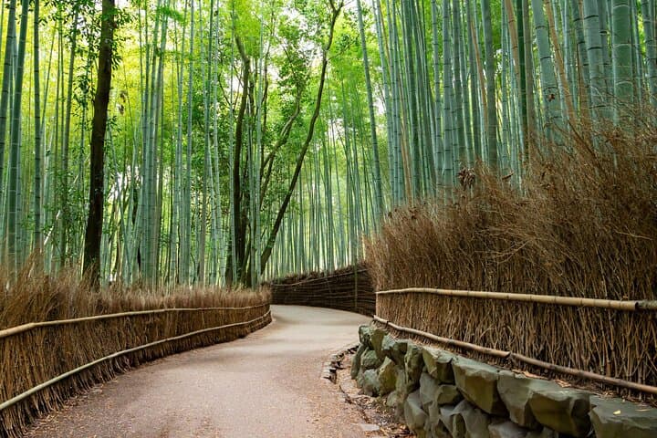 Nara Park and Fushimi Inari Exclusive Day Trip