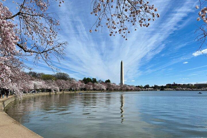 Washington D.C. ICONIC City & Mount Vernon Small Group 1 - Tagestour