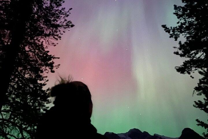 Banff Private Stargazing Tour 3 timmar