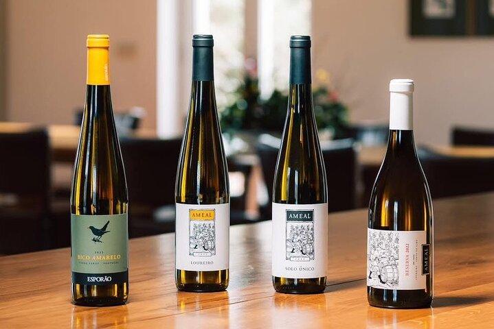Discover 3 charming villages & wine Verde tasting at local farm.