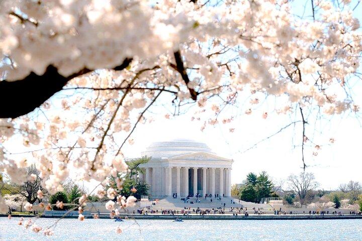 DC Monuments Tour mit 10 + Sites & Washington Monument Ticket