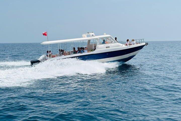 Dimaniyat Inseln Schnorchelabenteuer Private Tour