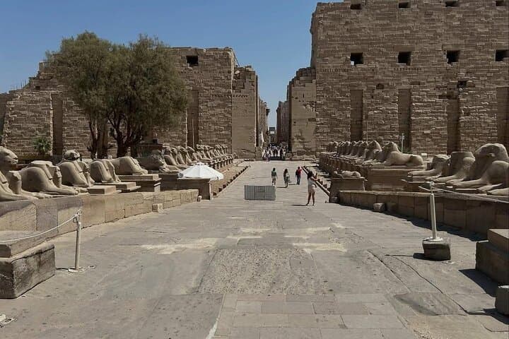 Luxor Full Day Valley of Kings,Queens, Hatshepsut ,Karnak, Memnon
