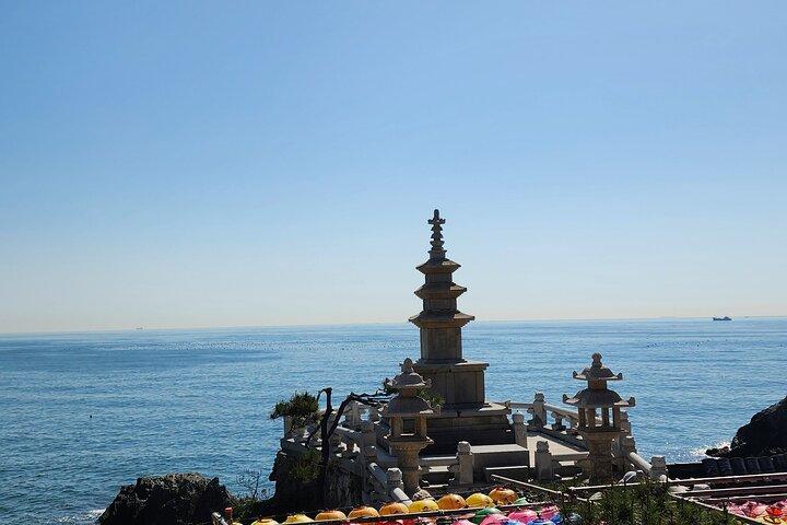 Busan Private Walking Tour with a Local