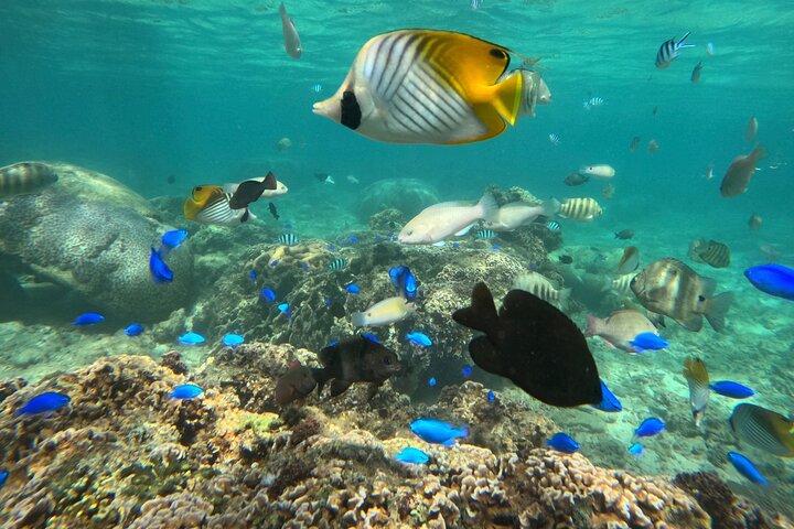 【 PRIVATE 】Okinawa Blue Cave Adventure - Korting voor 4 + personen