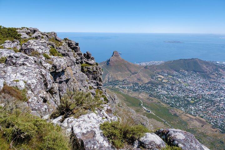 Halvdag Table Mountain Cable Car oplevelse med Company Gardens