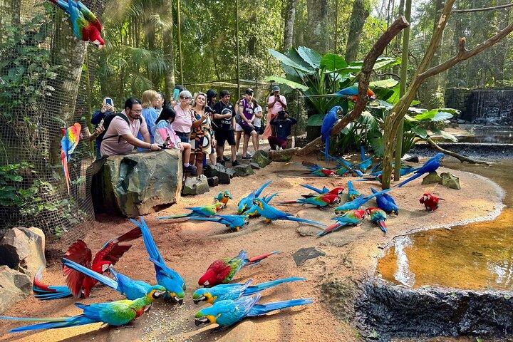 イグアスの滝ブラジルとアルゼンチン2日間ツアー