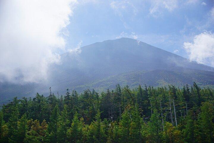 Fra Tokyo: Udflugt til Fuji-bjerget og Hakone med en spansktalende guide