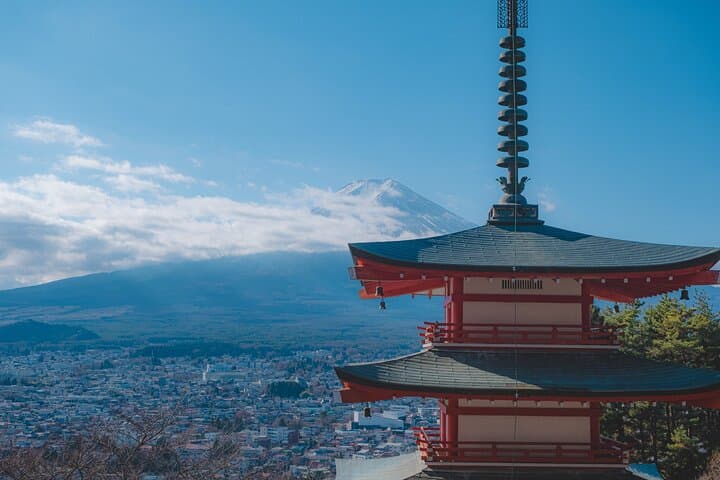 Mount Fuji Kawagoe and Hikawa Shrine Day Trip
