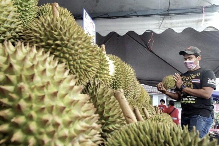 Musang King Durian Feast + KL Night Icons Night View