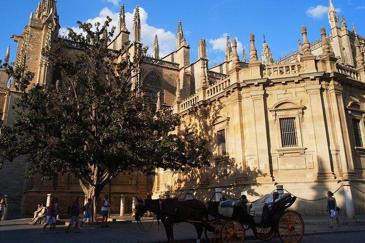 Visita guiada Inglês da Catedral de Sevilha com o Skip the Line e acesso à Giralda