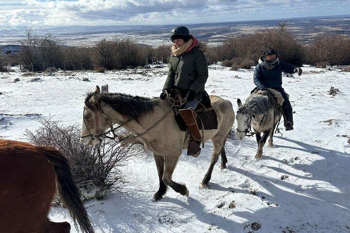 Hoteller i nærheden af Puerto Natales: Horseback Riding to Dorotea Fjord Lookout