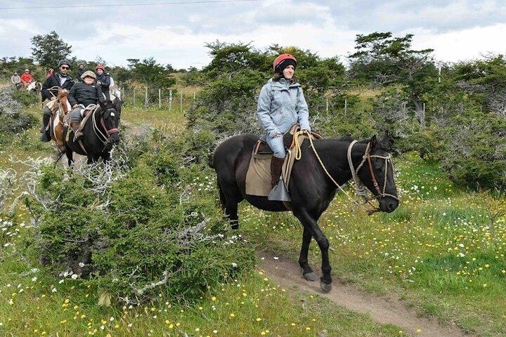Hoteller i nærheden af Puerto Natales: Horseback Riding to Dorotea Fjord Lookout