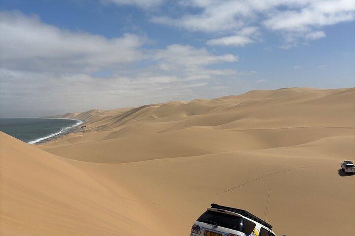 ウォルビスベイサンドイッチハーバー半日4×4ツアー