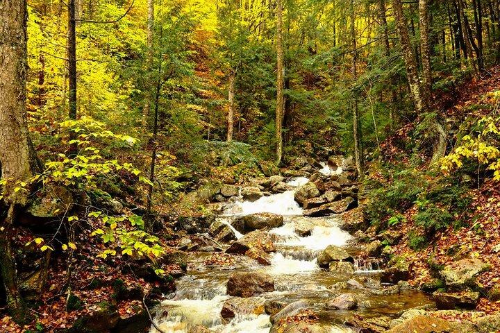 Lost River Gorge og White Mountains dagstur