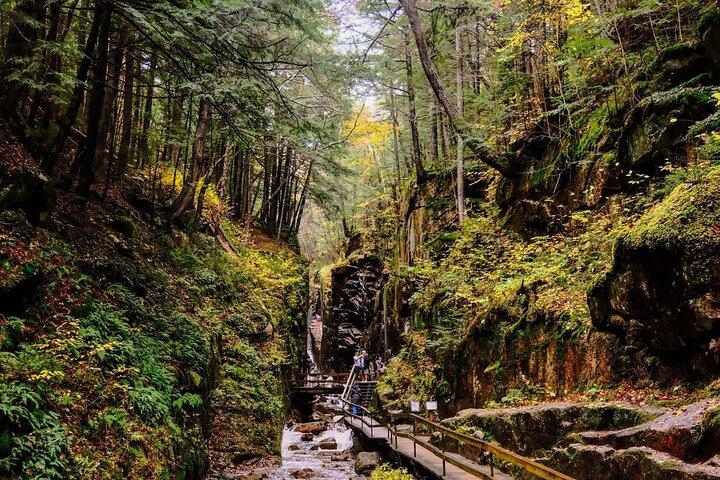 Lost River Gorge og White Mountains dagstur