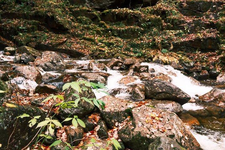 Lost River Gorge og White Mountains dagstur