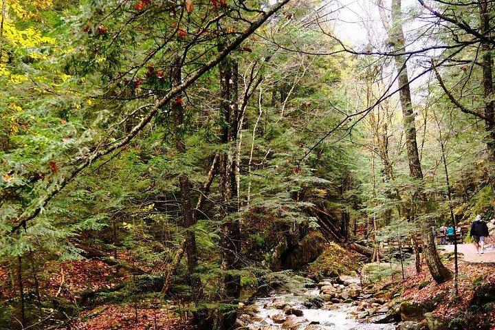 Lost River Gorge og White Mountains dagstur