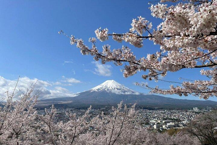 Mount Fuji Day Trip from Tokyo by Bus – Scenic Views & Highlights
