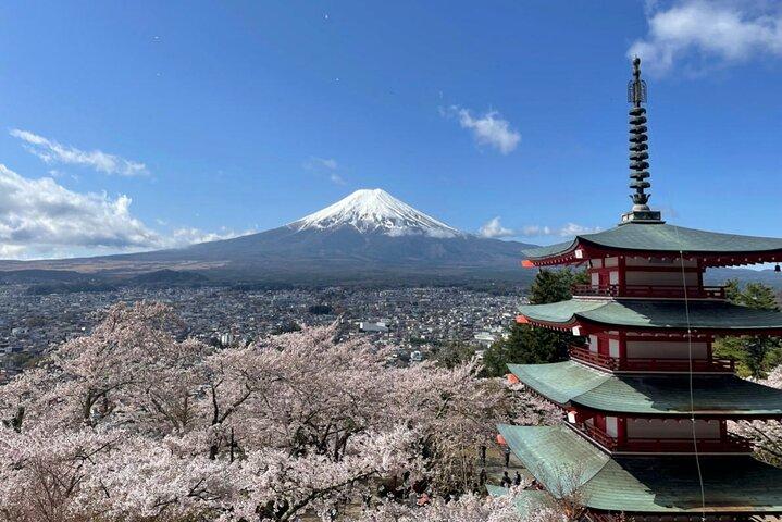 Mount Fuji Day Trip from Tokyo by Bus – Scenic Views & Highlights