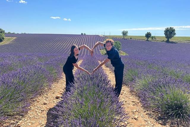 Provence & lavender