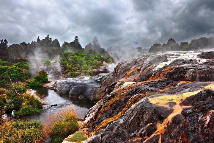 Von Auckland : Rotorua & Waitomo Wonders Tour