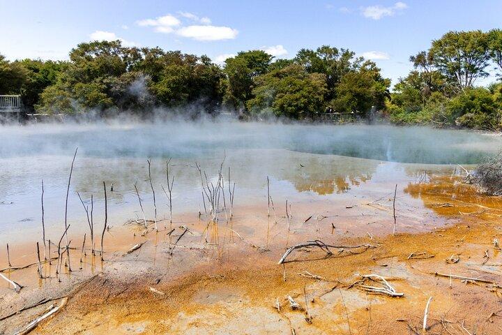 Von Auckland : Rotorua & Waitomo Wonders Tour