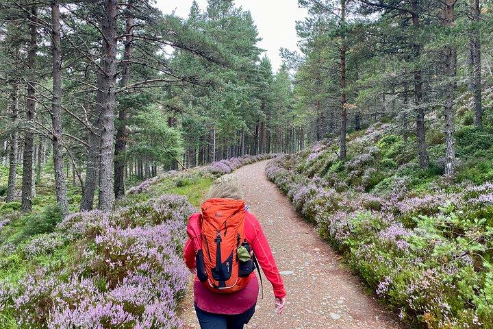 Tour a piedi delle Highlands scozzesi per piccoli gruppi da Edimburgo