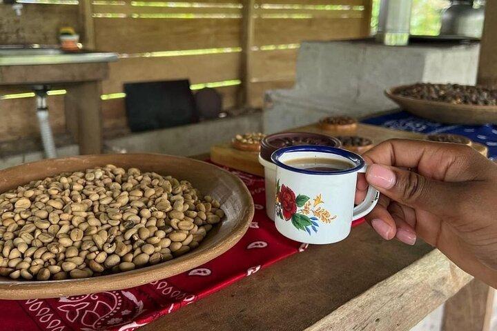 Hotéis próximos a: Sloth Discovery, Río Celeste & Coffee