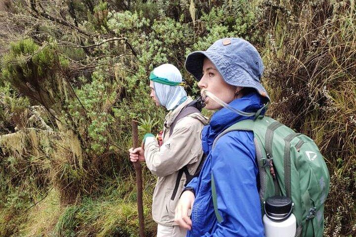 Mount Kilimanjaro Trekking – 6 dagar Marangu Route