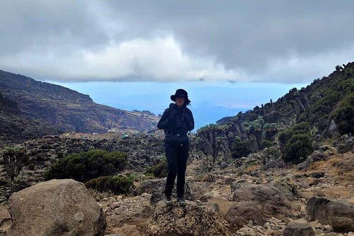 Mount Kilimanjaro Trekking – 6 dagar Marangu Route