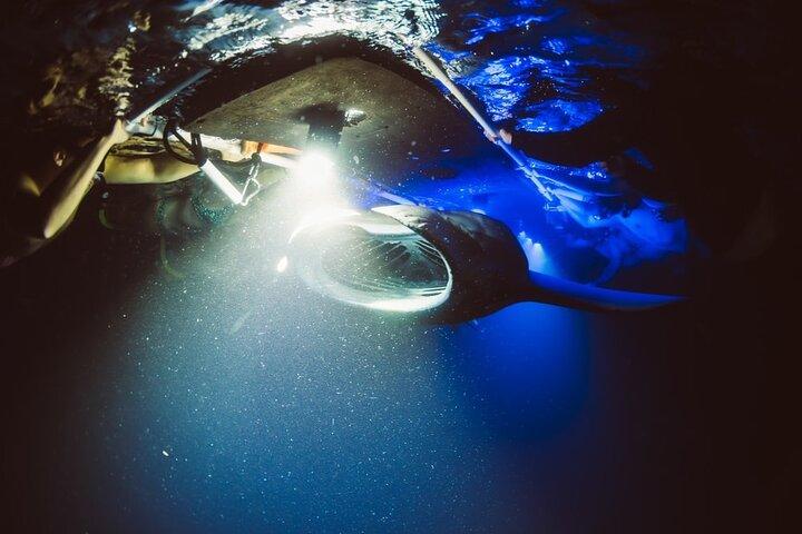 Kona Manta Ray Snorkel Tour : garantito o torna gratis