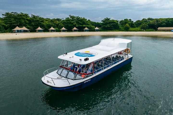 Albatross Hop-On Hop-Off Speedboat Pass (1 - Day Unlimited Rides)