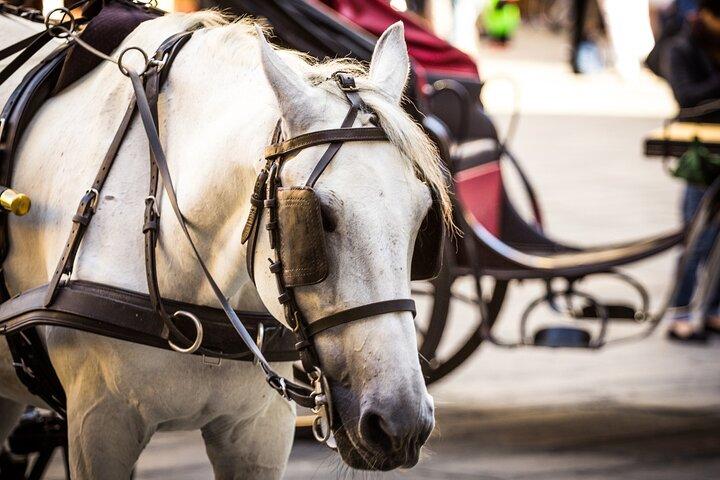 フィレンツェで馬車に乗る
