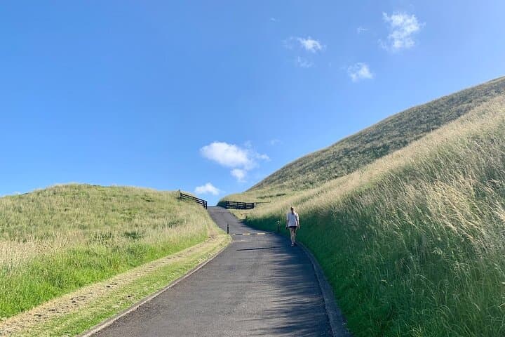 Full-Day Grand Auckland Volcanoes Tour