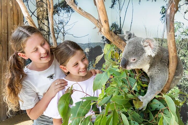Small Group: Blue Mountains with Zoo, Koala Photo & Scenic World