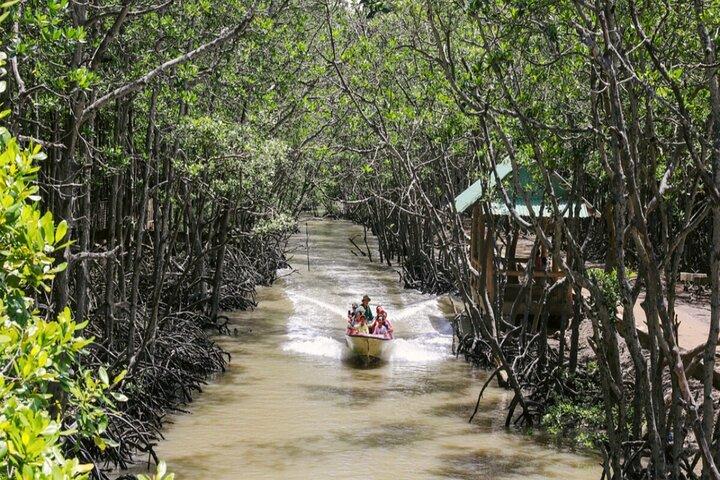Can Gio Mangrove Biosphärenreservat Kanu- und Wildtiertour