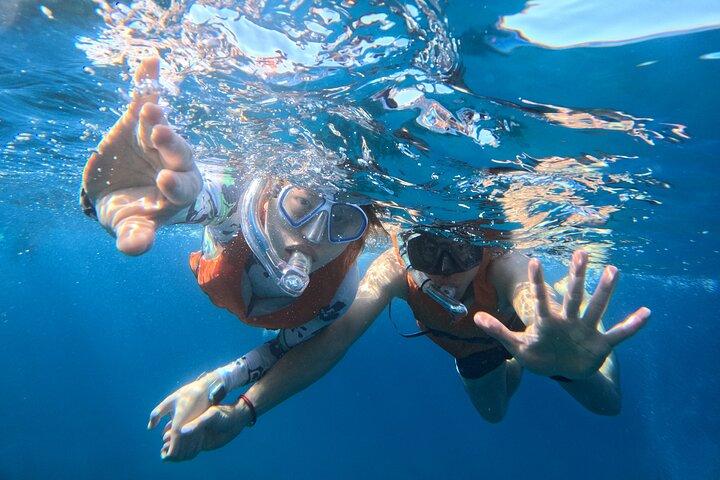 Teneriffa : Kleine Kajak- und Schnorcheltour mit Meeresfauna