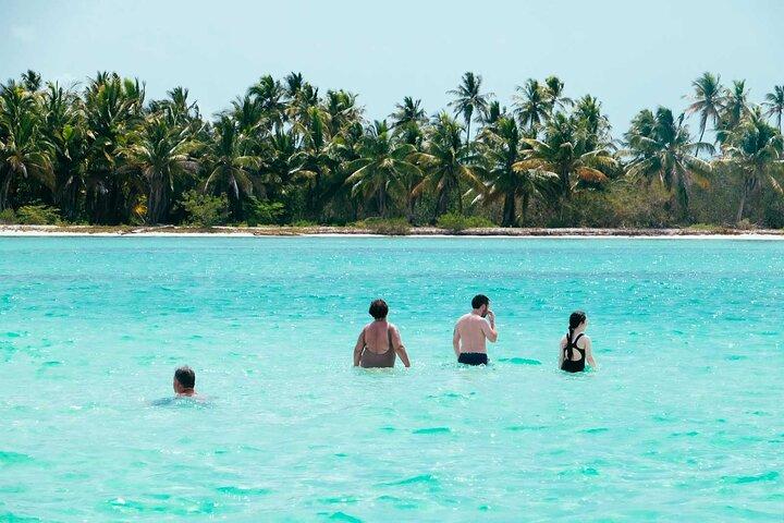 VIP-tur til Saona og 4 strande med speedbåd. Transport og frokost inkluderet.