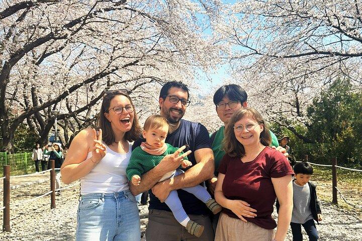 Jinhae Cherry Blossom One Day Tour from Busan