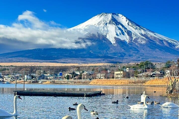 Mt. Fuji & Hakone Private Day Tour with English-Speaking Driver