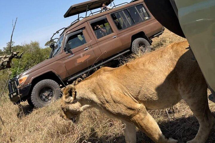 4x4ランドクルーザージープでのケニア野生動物サファリ7日間