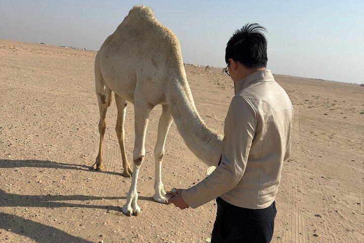Luxury and Value Kuwait City and Desert Discovery Tour