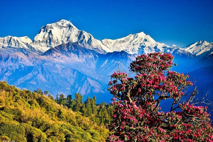Nagarkot Sunrise Tour mit Himalaya-Blick von Kathmandu