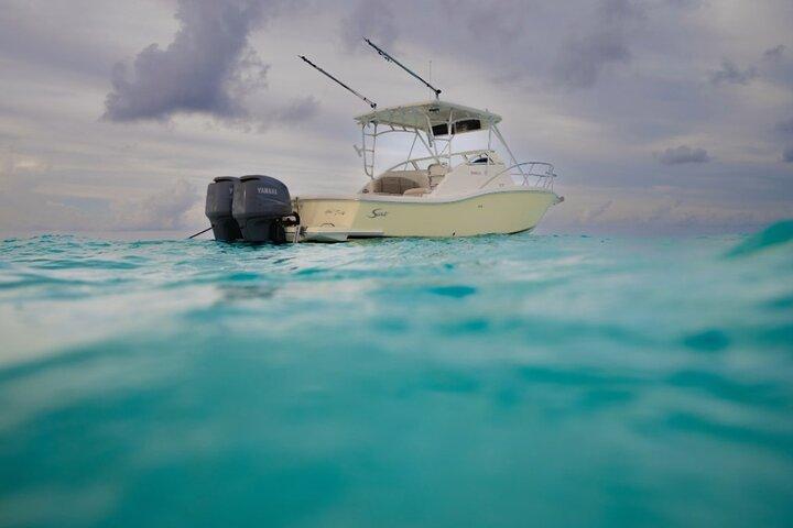 Private Landtour : Bio Bay & Stingray City Boat Adventure