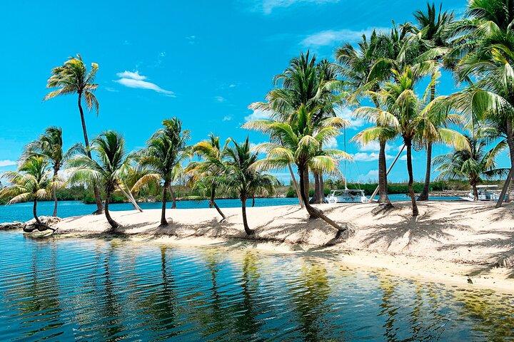 Private Landtour : Bio Bay & Stingray City Boat Adventure