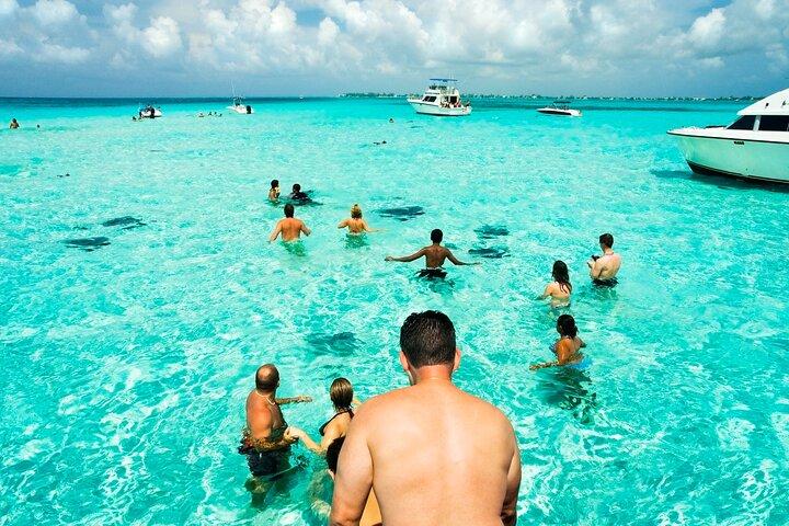 Private Landtour : Bio Bay & Stingray City Boat Adventure