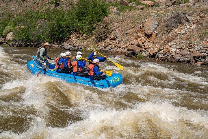 Rafting en eau vive Bighorn Sheep Canyon – Familles et débutants
