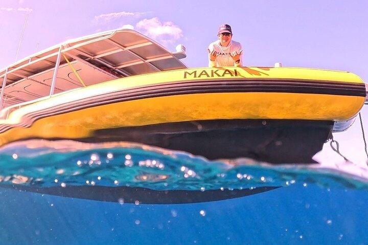 WHALES GUARANTEED Maui Whale Watching Makai Adventures